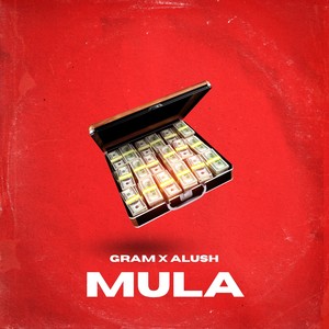 Mula