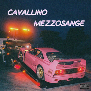 Cavallino Mezzosange (Explicit)