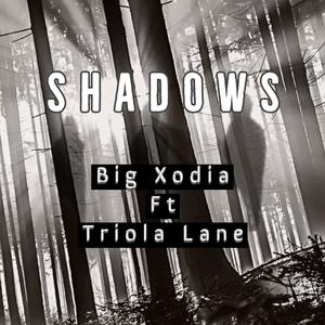 Shadows (feat. Triola Lane)