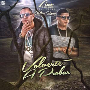 Volverte a Probar(feat. Carlitos Rossy)