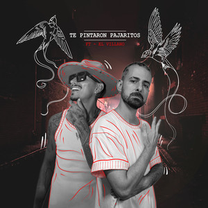 Te pintaron pajaritos