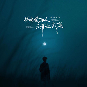 拼命爱的人没有让我赢 (昨晚你又来到我梦里)