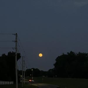 Resilnce - Sickening (Please Stay) (Explicit)