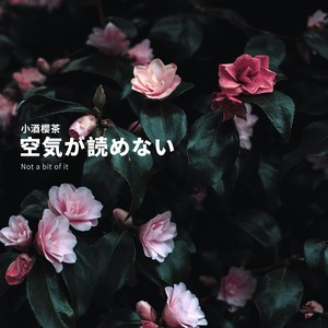 空気が読めない (Demo)