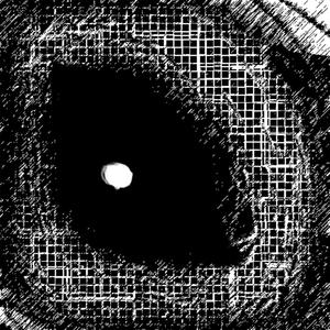 fallen world (Inst.)