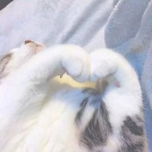 Rokey37 - 17岁的午后