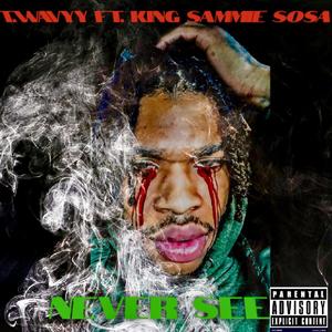 Never See (feat. King Sammie Sosa) [Explicit]