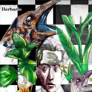 Robert Desnos (Inst.)