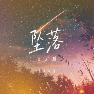 坠落 (DJ版)
