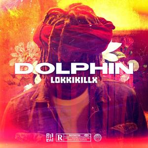 DOLPHIN (Explicit)