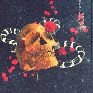 Bandowayne - Dream On (Explicit)