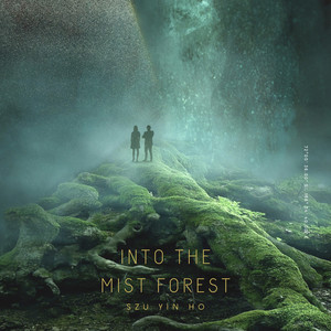 Into the Mist Forest