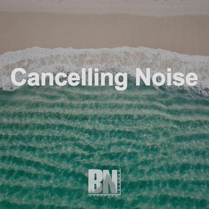 Cancelling Noise