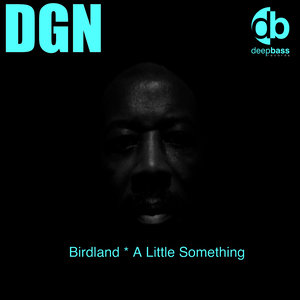 Birdland (Pakito Baeza Remix)