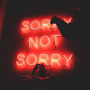 Sorry not Sorry (Explicit)