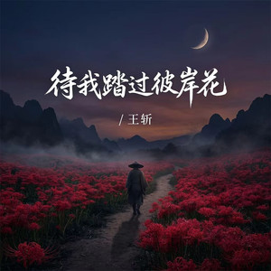 待我踏过彼岸花 (伴奏) - 王斩封面