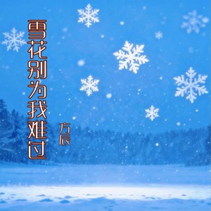 雪花别为我难过-方辰
