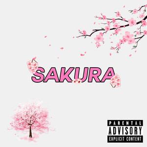 SAKURA (Explicit)