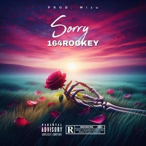 Sorry (Explicit)