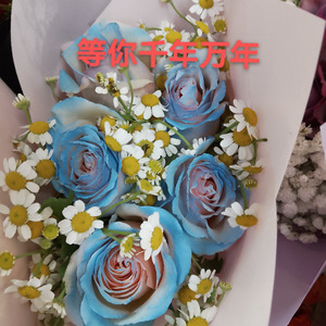 等你千年万年封面