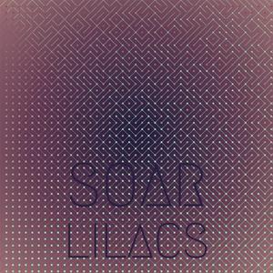 Soar Lilacs