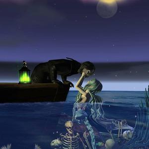 dallas cats (Explicit)