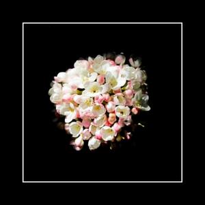 I: Lament in Slow Motion