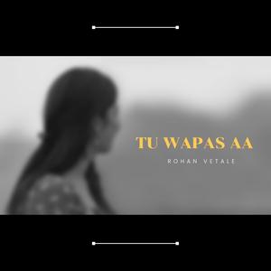 Tu Wapas Aa