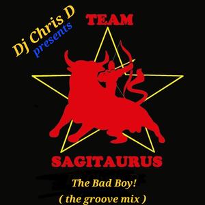 The Bad Boy (the groove mix)