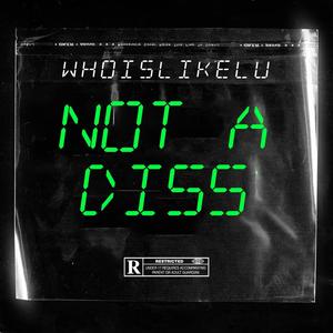 Not A Diss (Explicit)