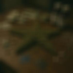 Star (MexikoDro) (Explicit)