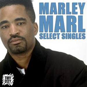 The Man Marley Marl (Rob Swift Remix)