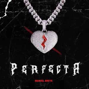 Perfecta (feat. Manuel Breyk) [Explicit]