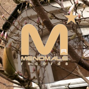 Synth Passion (Mario Conte & Fabio Spzz Future Mix)