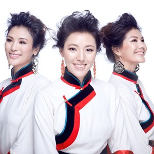 我是你的格桑花