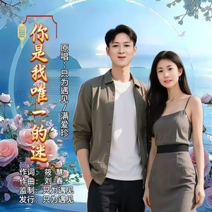 你是我唯一的迷 (对唱版)