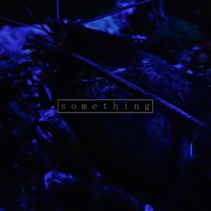 something for the ashes