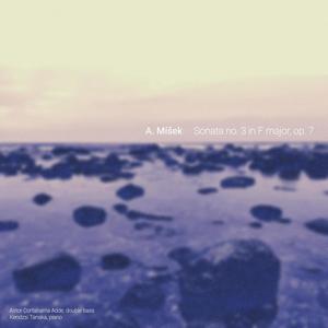 IV. Finale. Quasi Un Fantasia