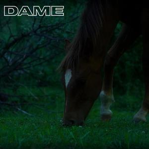 Dame (feat. DJ Tedos) (Explicit)