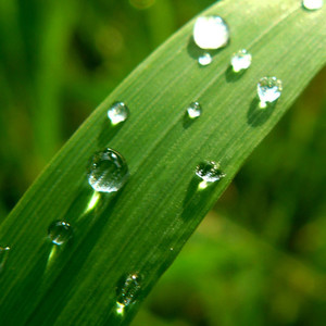 姐姐结婚弟弟表演王者