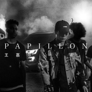 papillon(JackDaw Bootleg)