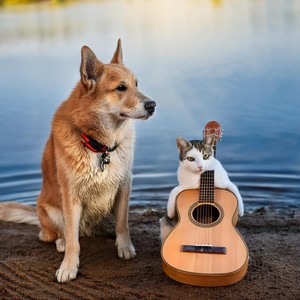 Pets' Peace: Relaxing Guitar and Water Sounds