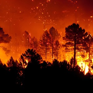 100 degrees (Explicit)