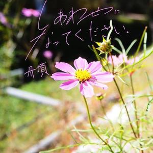 ね、眠れないね。