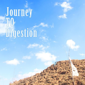 Journey to digestion ft.董李