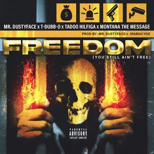 Freedom (You Still Ain't Free) (feat. T-Dubb-O, Tadoo Hilfiga & Montana The Message|Explicit)