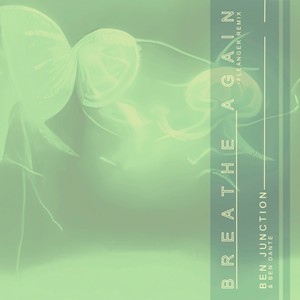 Breathe Again (Fleanger Remix|Extended Mix)