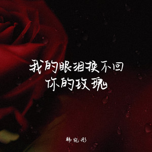 我的眼泪换不回你的玫瑰