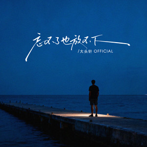 大头针 Official - 忘不了也放不下