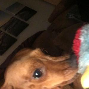 MARKTWOO - Sky is Blue